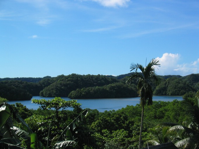 IMG_1613.JPG - Palau Plantation Resort