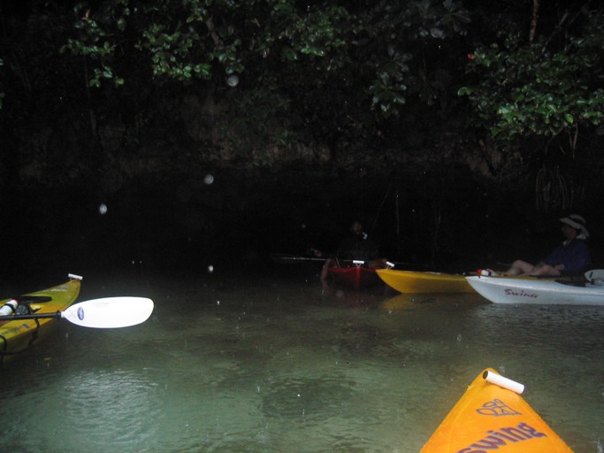 IMG_1627.JPG - Kayaking with Jake from Sam's