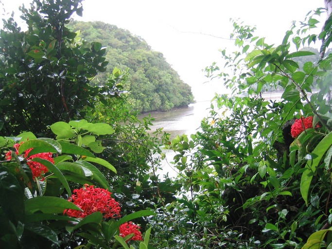 IMG_1651.JPG - Kayaking with Jake from Sam's