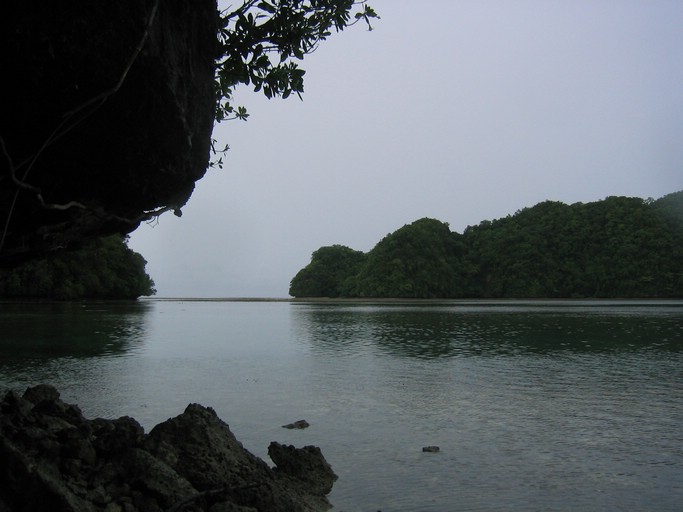 IMG_1655.JPG - Kayaking with Jake from Sam's