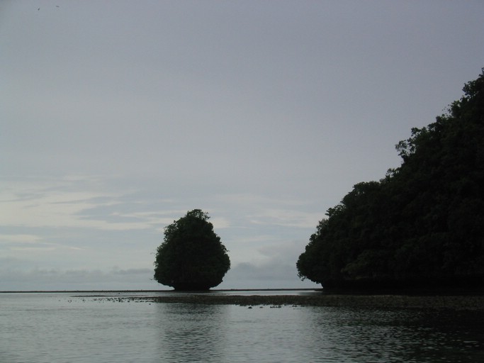 IMG_1656.JPG - Kayaking with Jake from Sam's