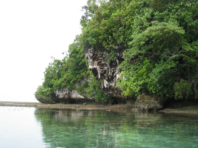 IMG_1661.JPG - Kayaking with Jake from Sam's