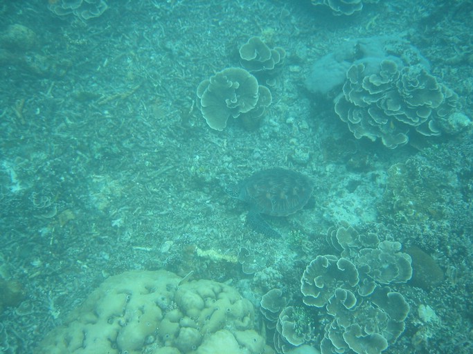 IMG_1662.JPG - Kayaking with Jake from Sam's