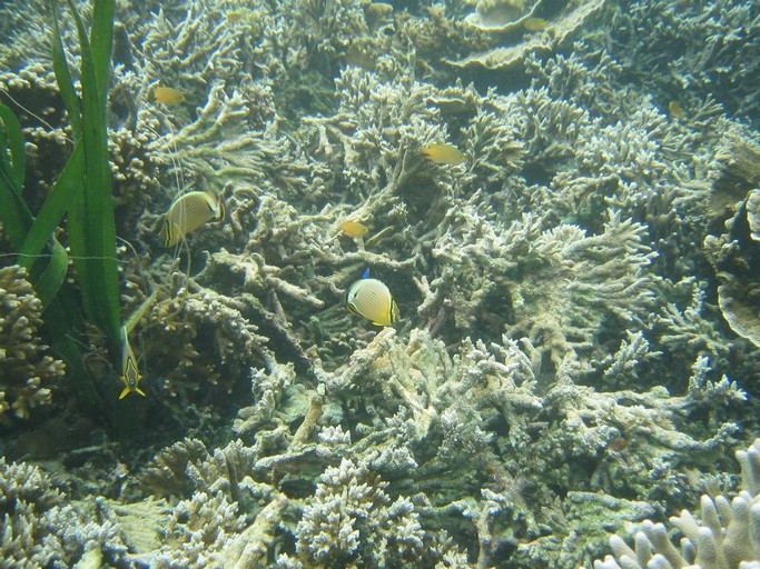 IMG_1667.JPG - Kayaking with Jake from Sam's