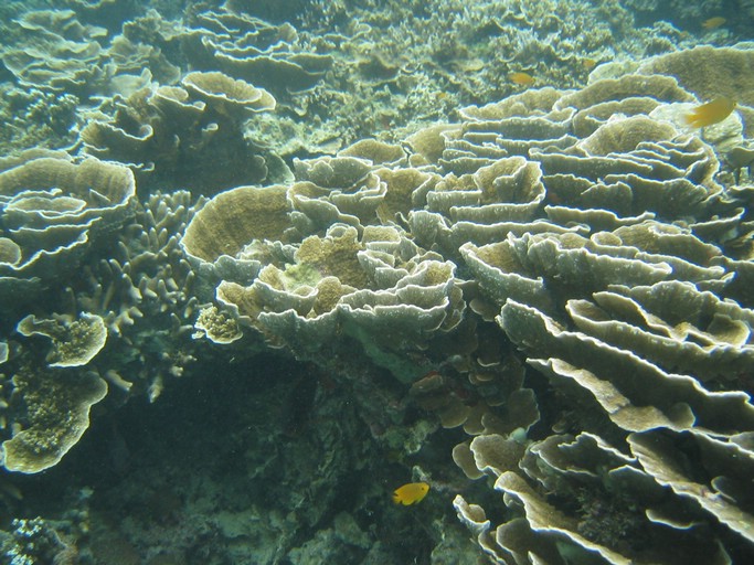 IMG_1669.JPG - Kayaking with Jake from Sam's