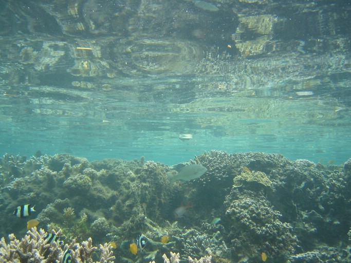 IMG_1673.JPG - Kayaking with Jake from Sam's