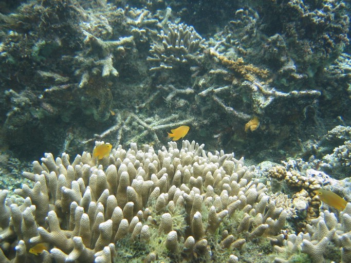 IMG_1674.JPG - Kayaking with Jake from Sam's