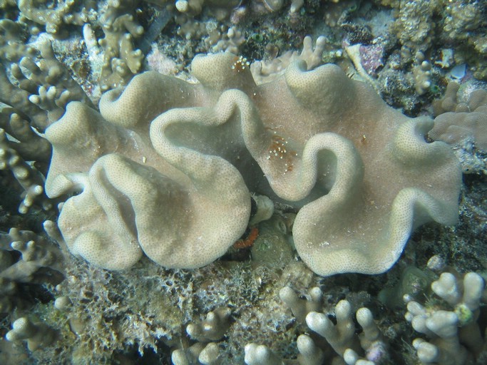 IMG_1676.JPG - Kayaking with Jake from Sam's