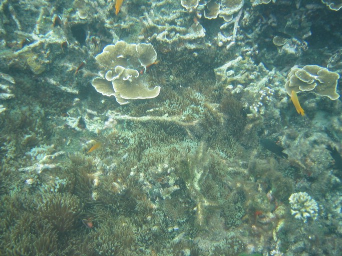 IMG_1678.JPG - Kayaking with Jake from Sam's