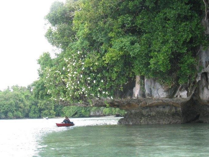 IMG_1692.JPG - Kayaking with Jake from Sam's