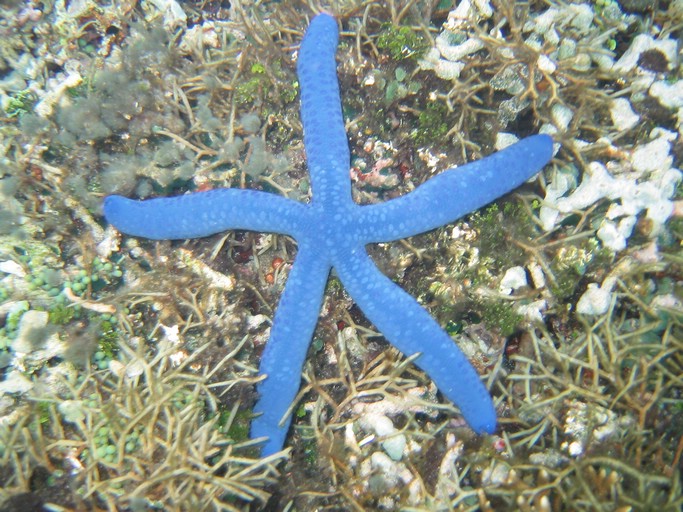 IMG_1699.JPG - Kayaking with Jake from Sam's