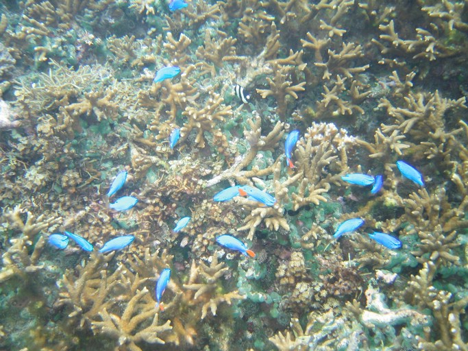 IMG_1702.JPG - Kayaking with Jake from Sam's