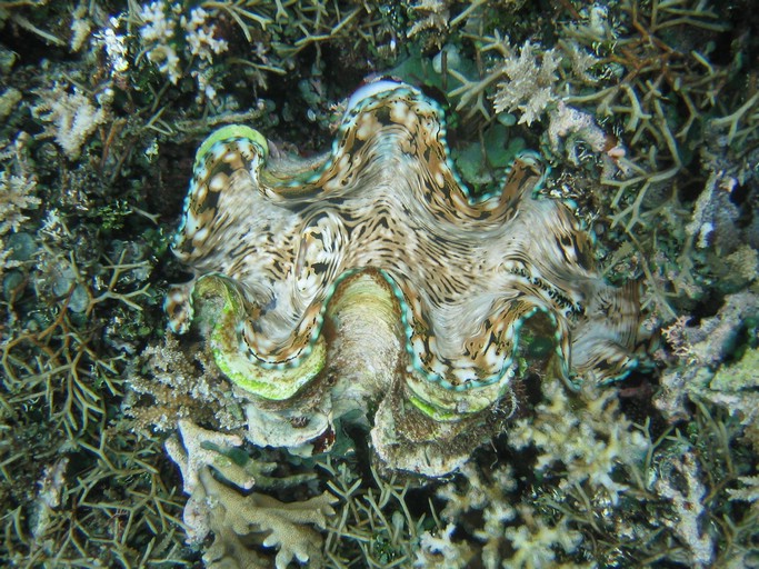 IMG_1704.JPG - Kayaking with Jake from Sam's