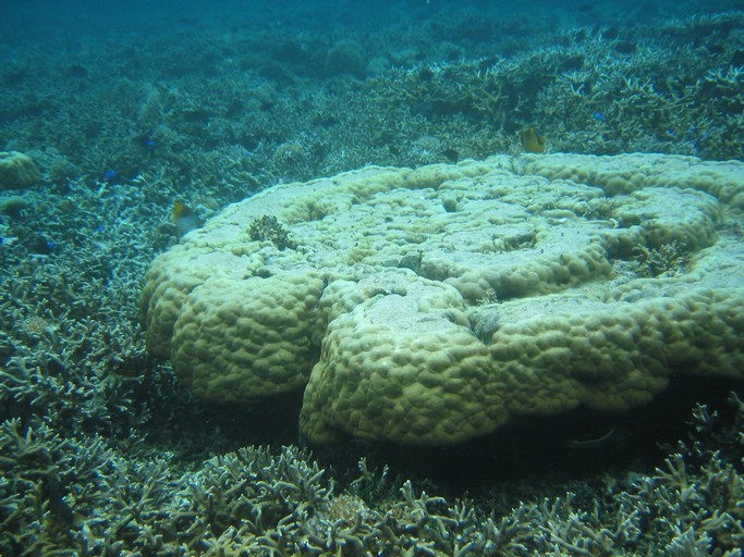 IMG_1705.JPG - Kayaking with Jake from Sam's