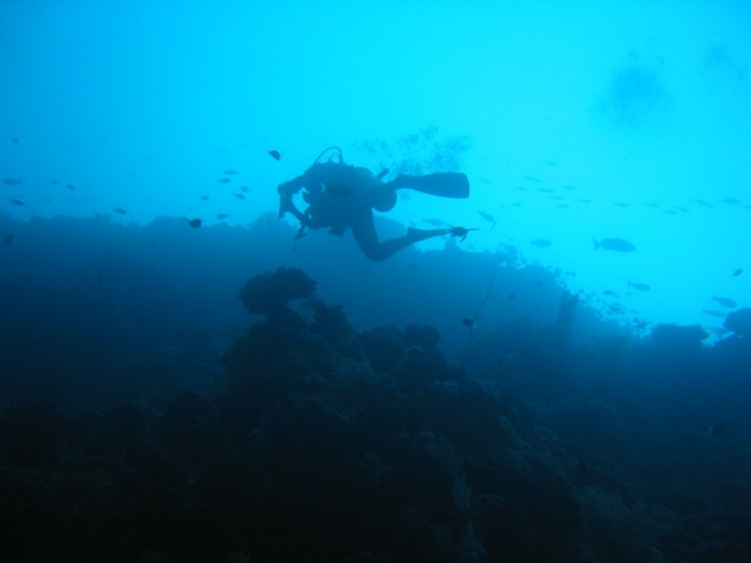 IMG_1719.JPG - "Big Drop-off", Palau