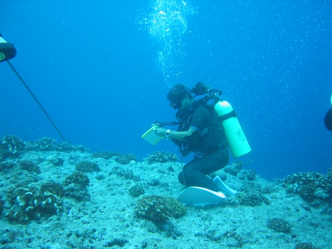 IMG_1722.JPG - "Blue Corner", Palau