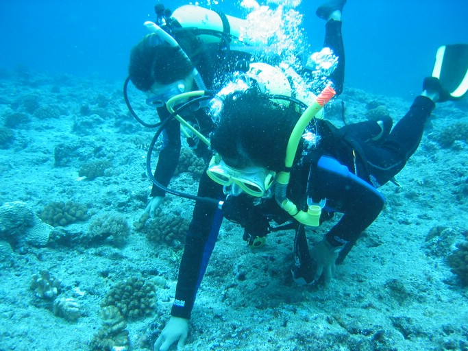 IMG_1723.JPG - "Blue Corner", Palau