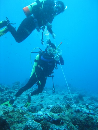 IMG_1730.JPG - "Blue Corner", Palau