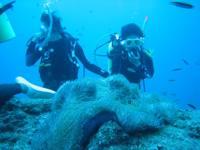 IMG_1741.JPG - "Blue Corner", Palau