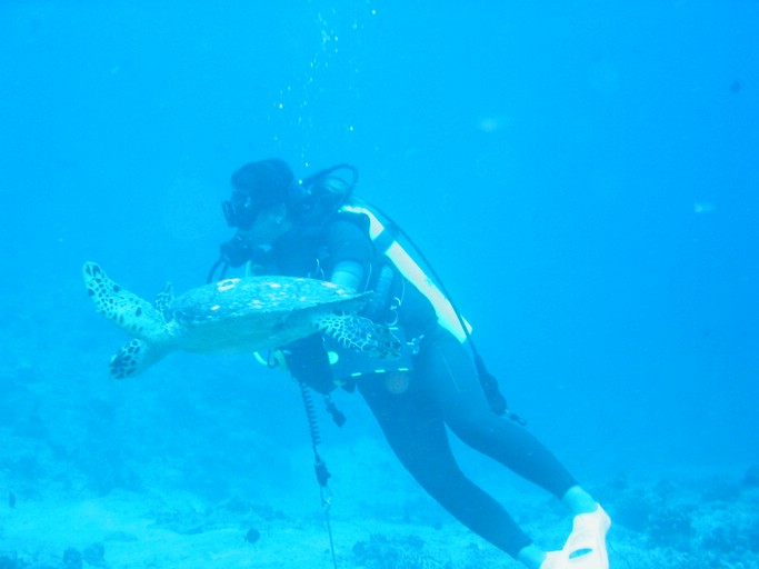 IMG_1758.JPG - "Blue Corner", Palau