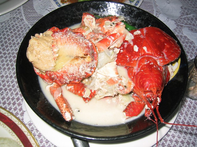 IMG_1788.JPG - Coconot Crab, Penthouse, Koror, Palau