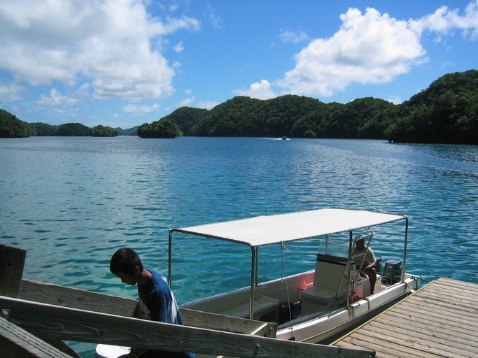 IMG_1793.JPG - Jellyfish Lake, Palau