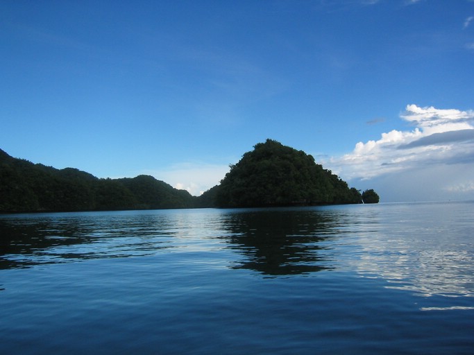 IMG_1824.JPG - Kayaking with Jefferson from Fish 'n Fins