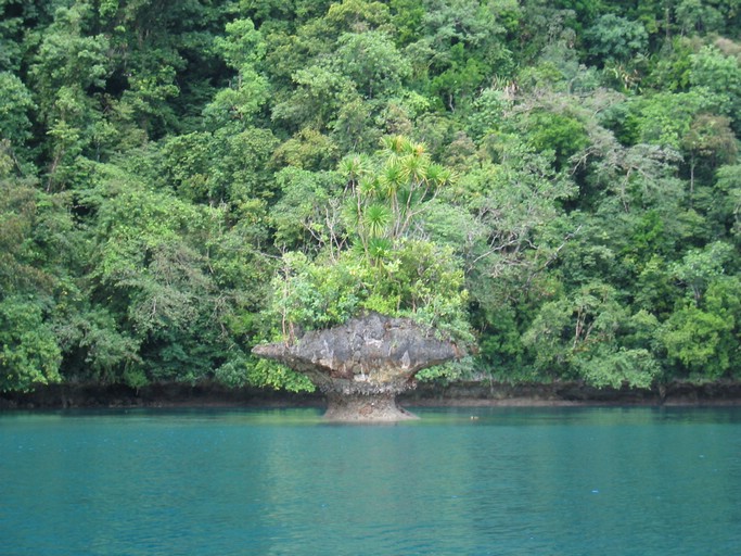 IMG_1828.JPG - Kayaking with Jefferson from Fish 'n Fins