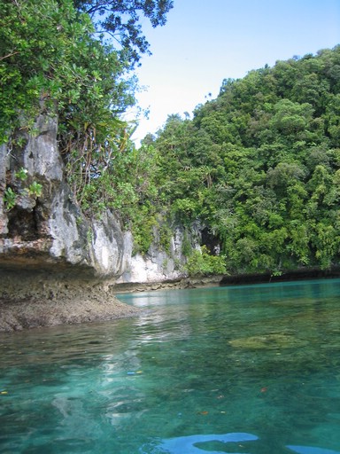 IMG_1829.JPG - Kayaking with Jefferson from Fish 'n Fins