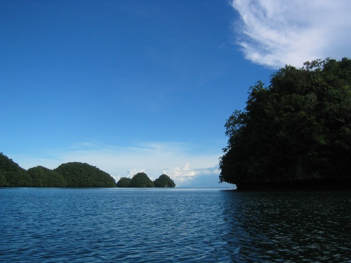 IMG_1833.JPG - Kayaking with Jefferson from Fish 'n Fins