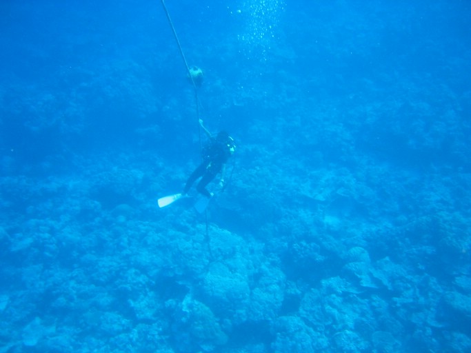 IMG_1835.JPG - "Ulong Drop", Palau