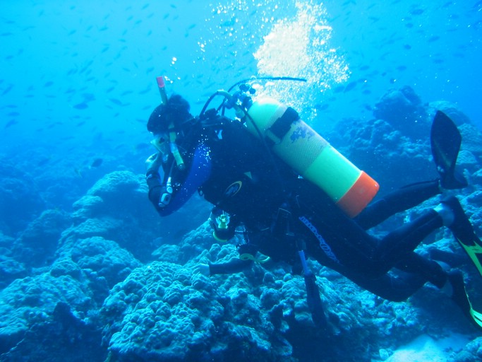 IMG_1838.JPG - "Ulong Drop", Palau