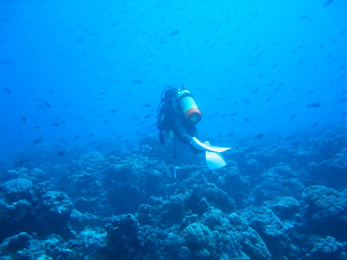 IMG_1839.JPG - "Ulong Drop", Palau