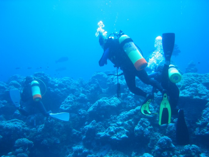 IMG_1843.JPG - "Ulong Drop", Palau