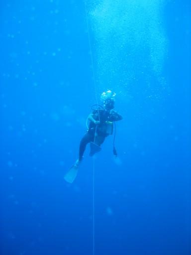 IMG_1848.JPG - "Ulong Drop", Palau