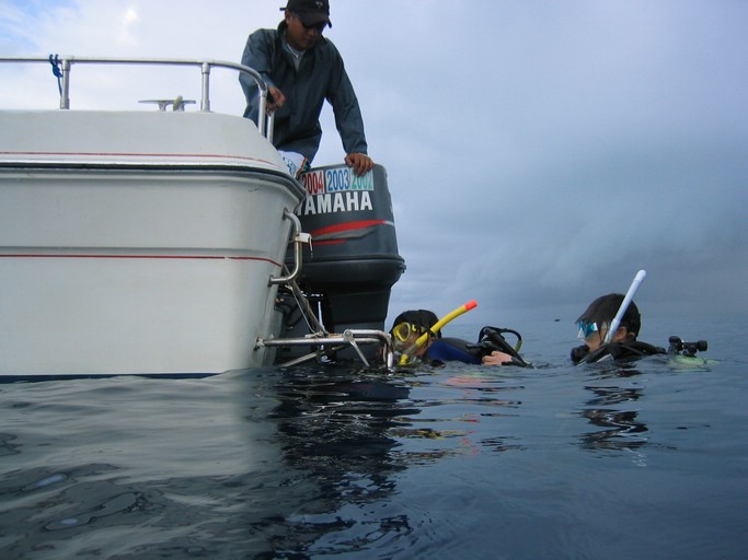 IMG_1850.JPG - "Ulong Drop", Palau