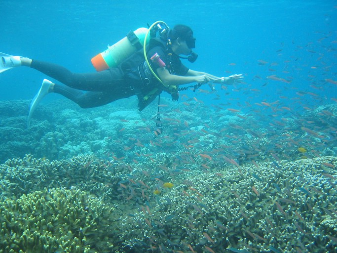 IMG_1867.JPG - "Saint Cardinal" (near Koror), Palau