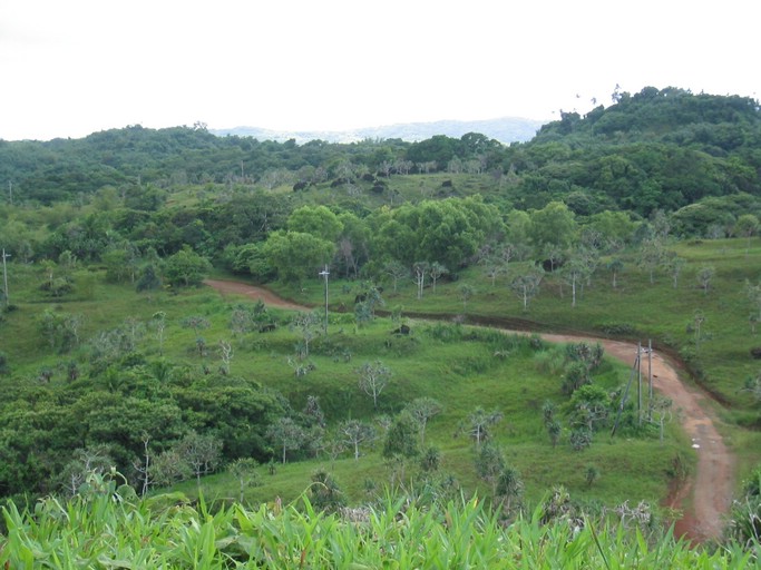 IMG_1897.JPG - Pyramid/Terraces/Masol's Tomb, Aimeliik, Babeldaob, Palua