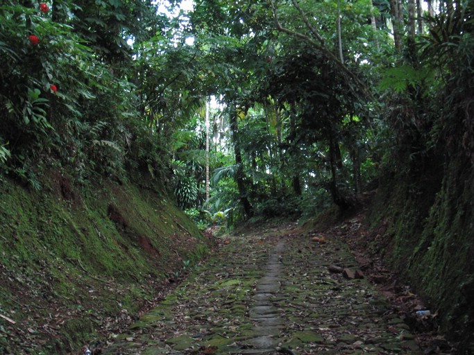 IMG_1907.JPG - Arai Bai, Babeldaob, Palua