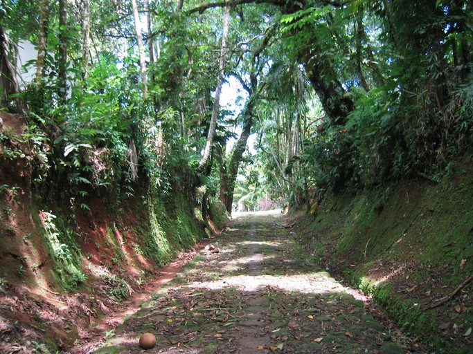 IMG_1920.JPG - Arai Bai, Babeldaob, Palua