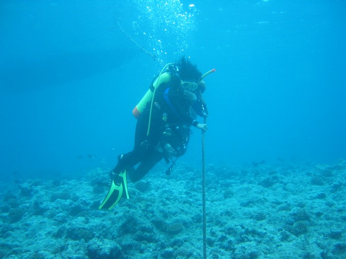 IMG_1929.JPG - "Blue Holes", Palau