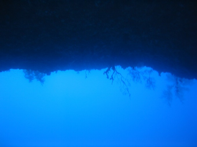 IMG_1936.JPG - "Blue Holes", Palau