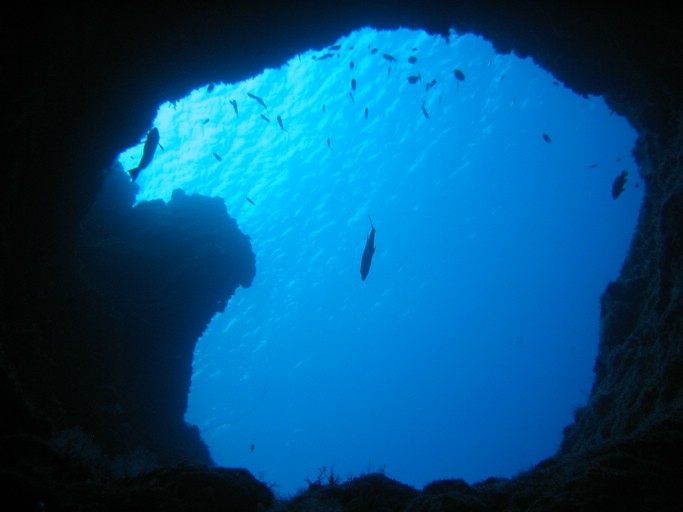 IMG_1943.JPG - "Blue Holes", Palau