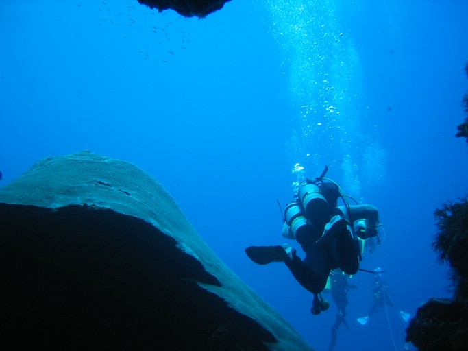 IMG_1950.JPG - "Blue Holes", Palau