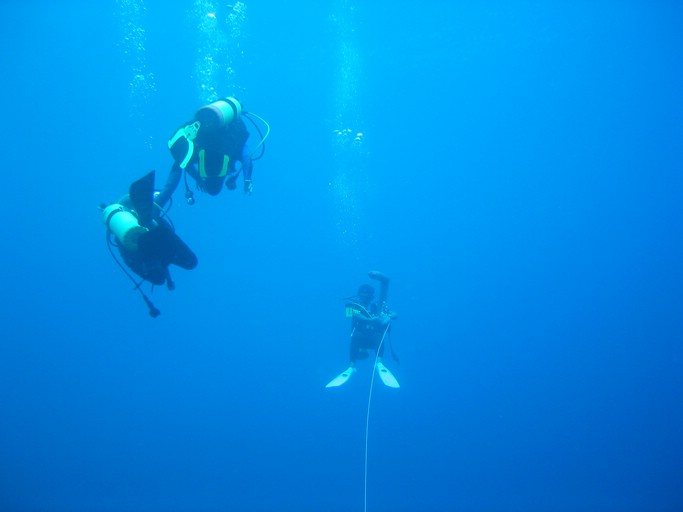 IMG_1951.JPG - "Blue Holes", Palau