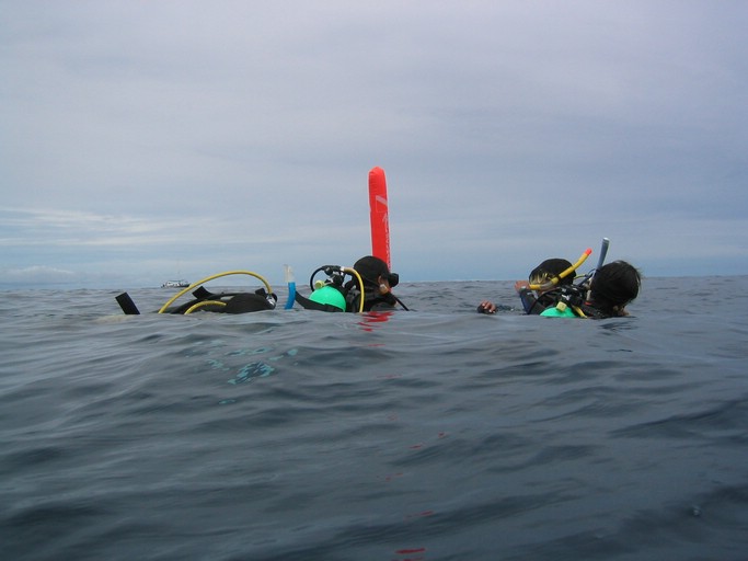 IMG_1953.JPG - "Blue Holes", Palau