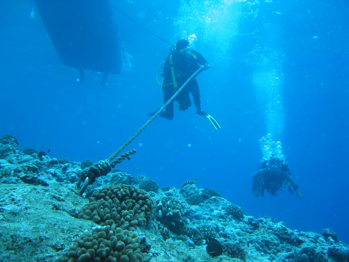 IMG_1955.JPG - "Blue Corner", Palau