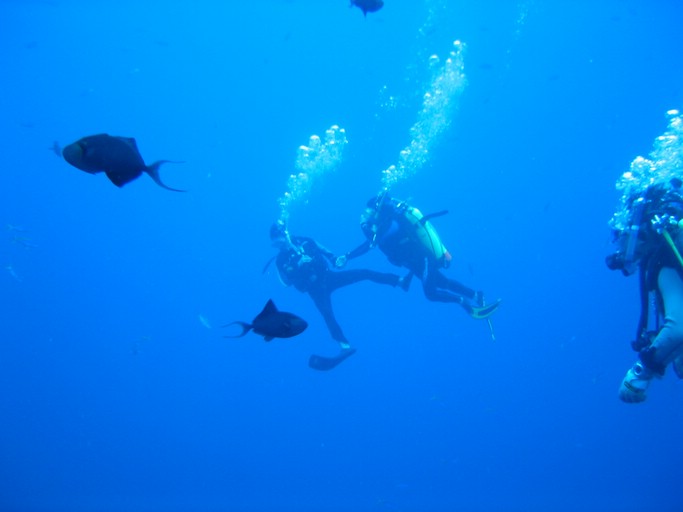 IMG_1957.JPG - "Blue Corner", Palau