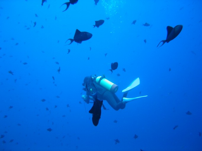 IMG_1960.JPG - "Blue Corner", Palau