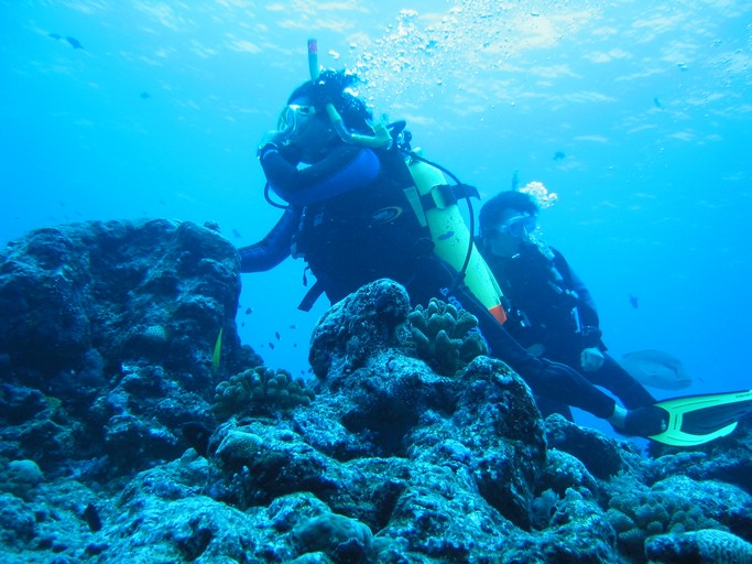 IMG_1977.JPG - "Blue Corner", Palau